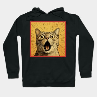 Shocked Cat Cartoon Vintage Cartoon Cat Crazy Hoodie